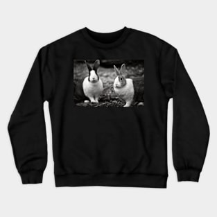 Bunny Buddies Crewneck Sweatshirt